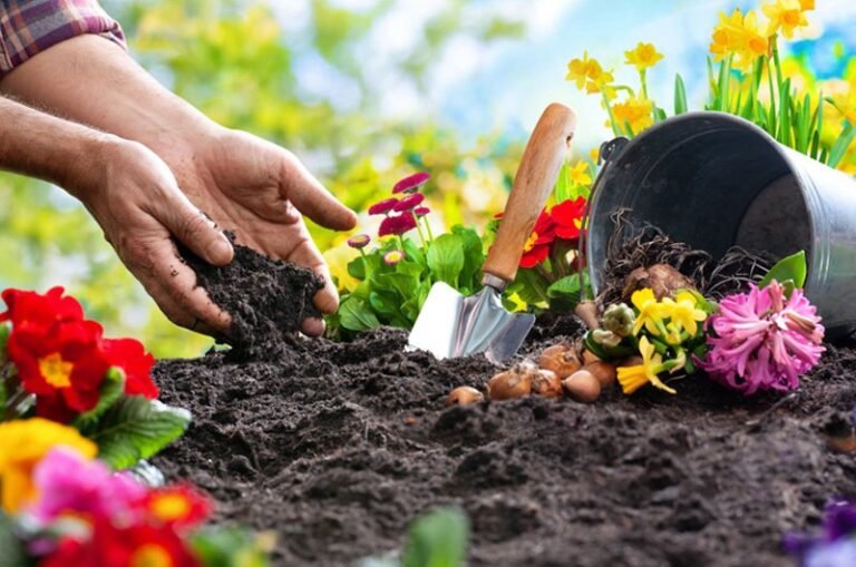 Gardening 101: Essential Tips for a Beautiful Garden