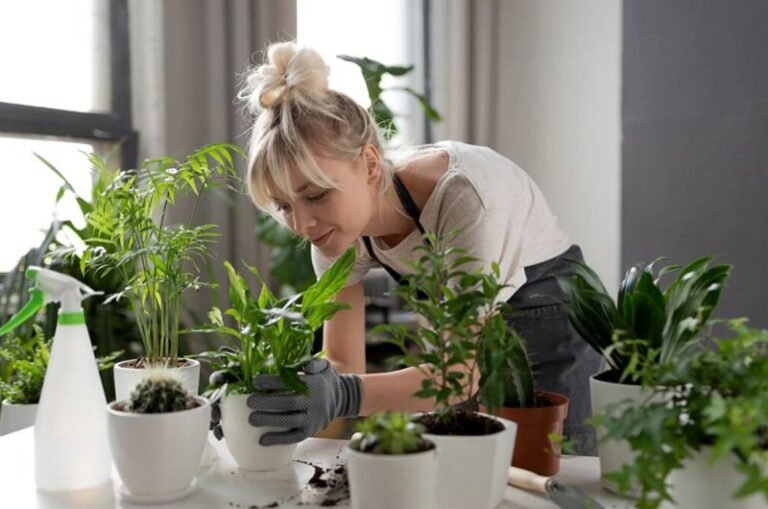 The Power of Indoor Plants: Health Benefits and Stylish Décor