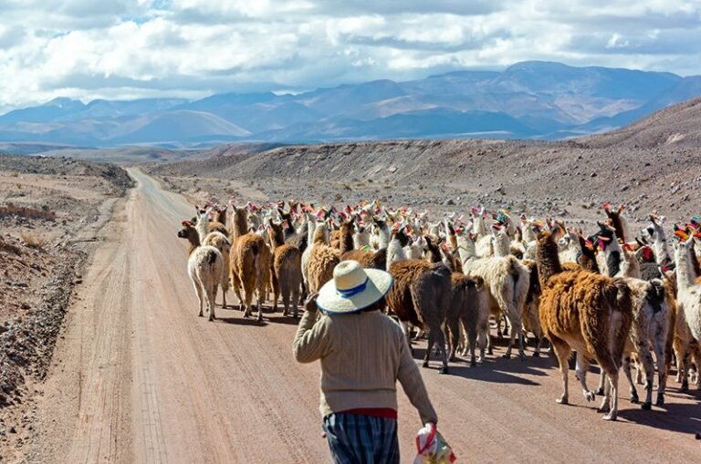 Traveling with Purpose: Exploring the World with a Sense of Adventure